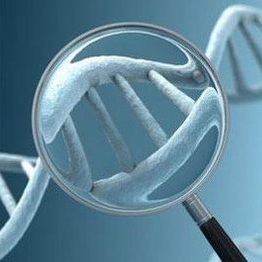 DNA甲基化实验服务