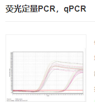 荧光定量PCR，qPCR实验服务